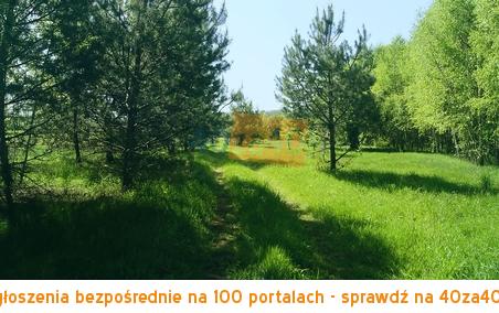 Działka na sprzedaż, 1000 m2, cena: 32 000,00 PLN, kontakt: 600999650