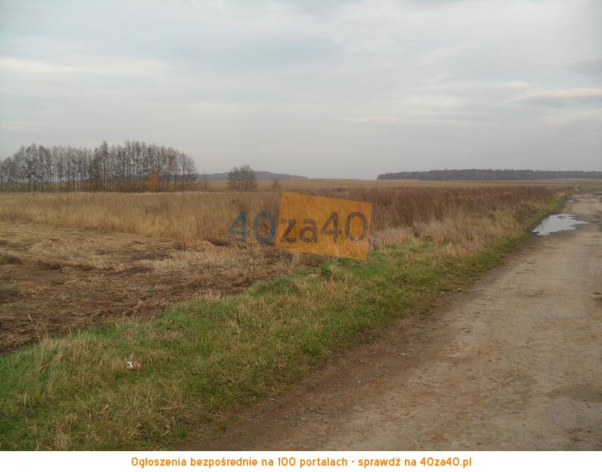 Działka na sprzedaż, 1000 m2, cena: 85 000,00 PLN, Jordanów Śląski, kontakt: 509153252