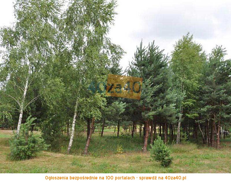 Działka na sprzedaż, 1056 m2, cena: 63 000,00 PLN, Jeziórka, kontakt: 606620907