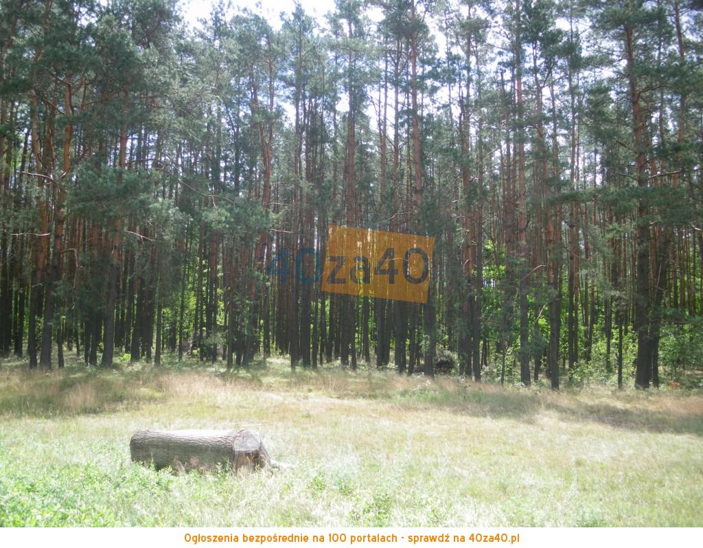 Działka na sprzedaż, 10900 m2, cena: 149 000,00 PLN, Rejowiec, kontakt: 795659795