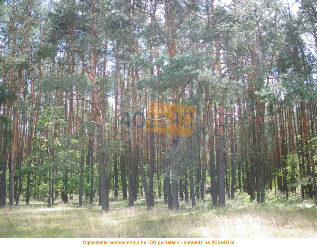 Działka na sprzedaż, 10900 m2, cena: 149 000,00 PLN, Rejowiec, kontakt: 795659795