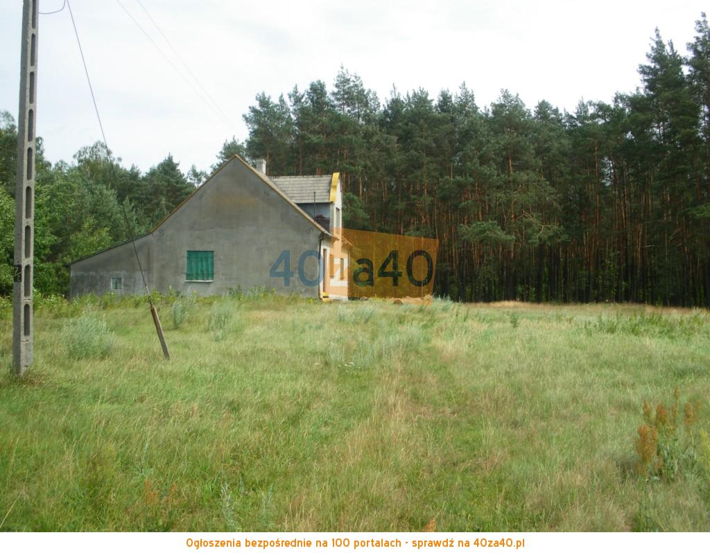 Działka na sprzedaż, 10900 m2, cena: 149 000,00 PLN, Rejowiec, kontakt: 795659795