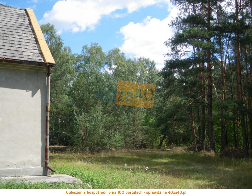 Działka na sprzedaż, 10900 m2, cena: 149 000,00 PLN, Rejowiec, kontakt: 795659795