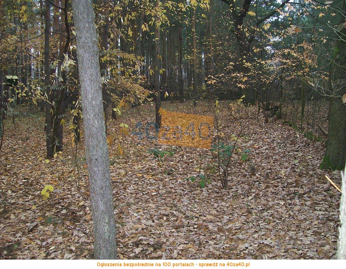 Działka na sprzedaż, 1200 m2, cena: 144 000,00 PLN, Serock, kontakt: 603 071 063