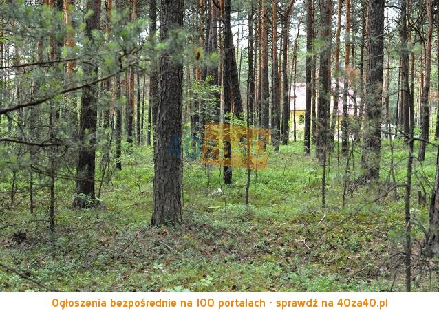 Działka na sprzedaż, 1240 m2, cena: 120 000,00 PLN, Żarki-Letnisko, kontakt: 501536056