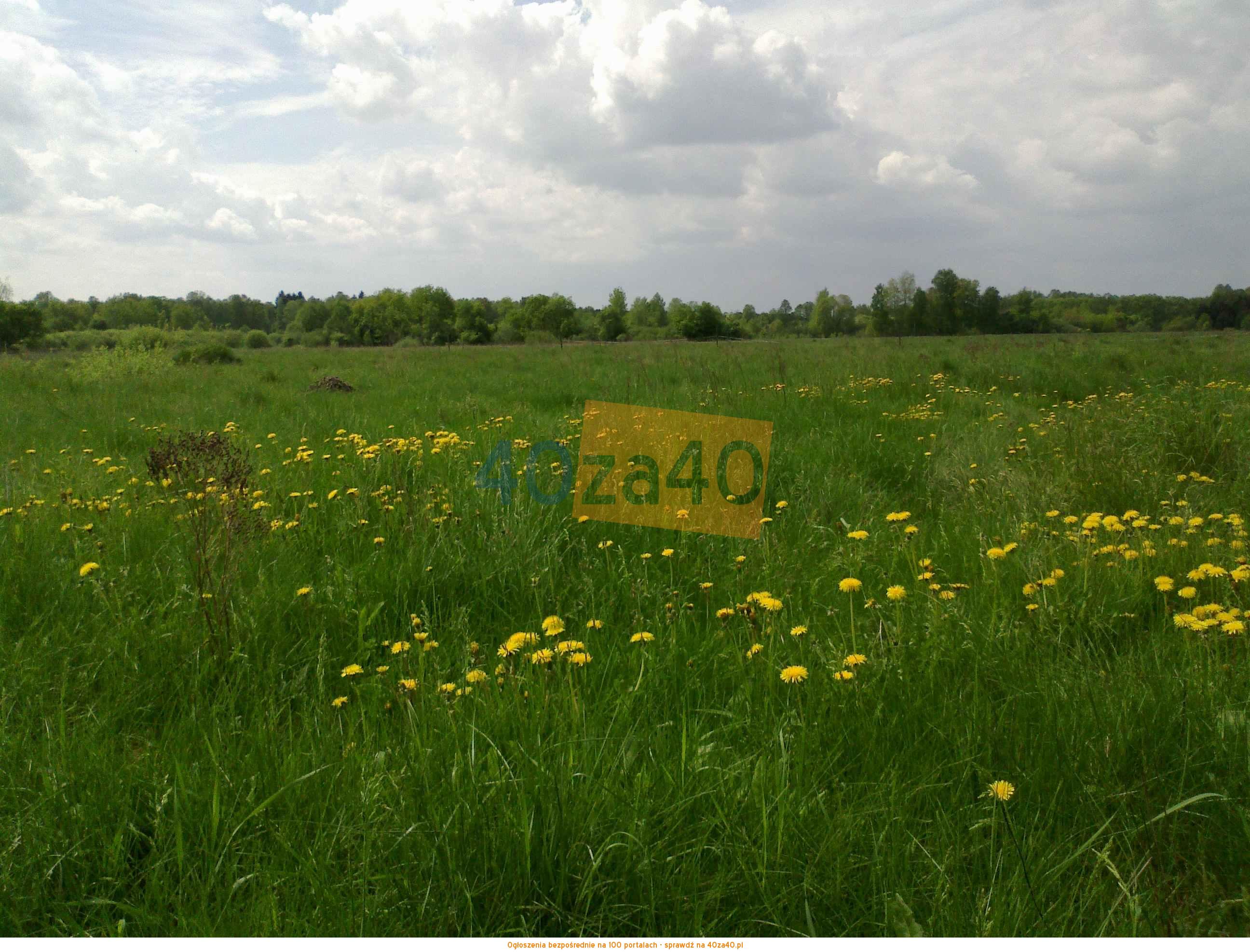 Działka na sprzedaż, 1323 m2, cena: 45 000,00 PLN, kontakt: 503940442