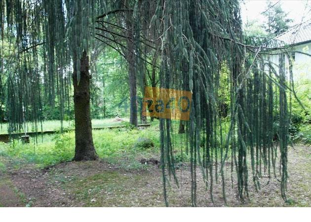 Działka na sprzedaż, 1400 m2, cena: 450 000,00 PLN, Otrębusy, kontakt: 513 698 276