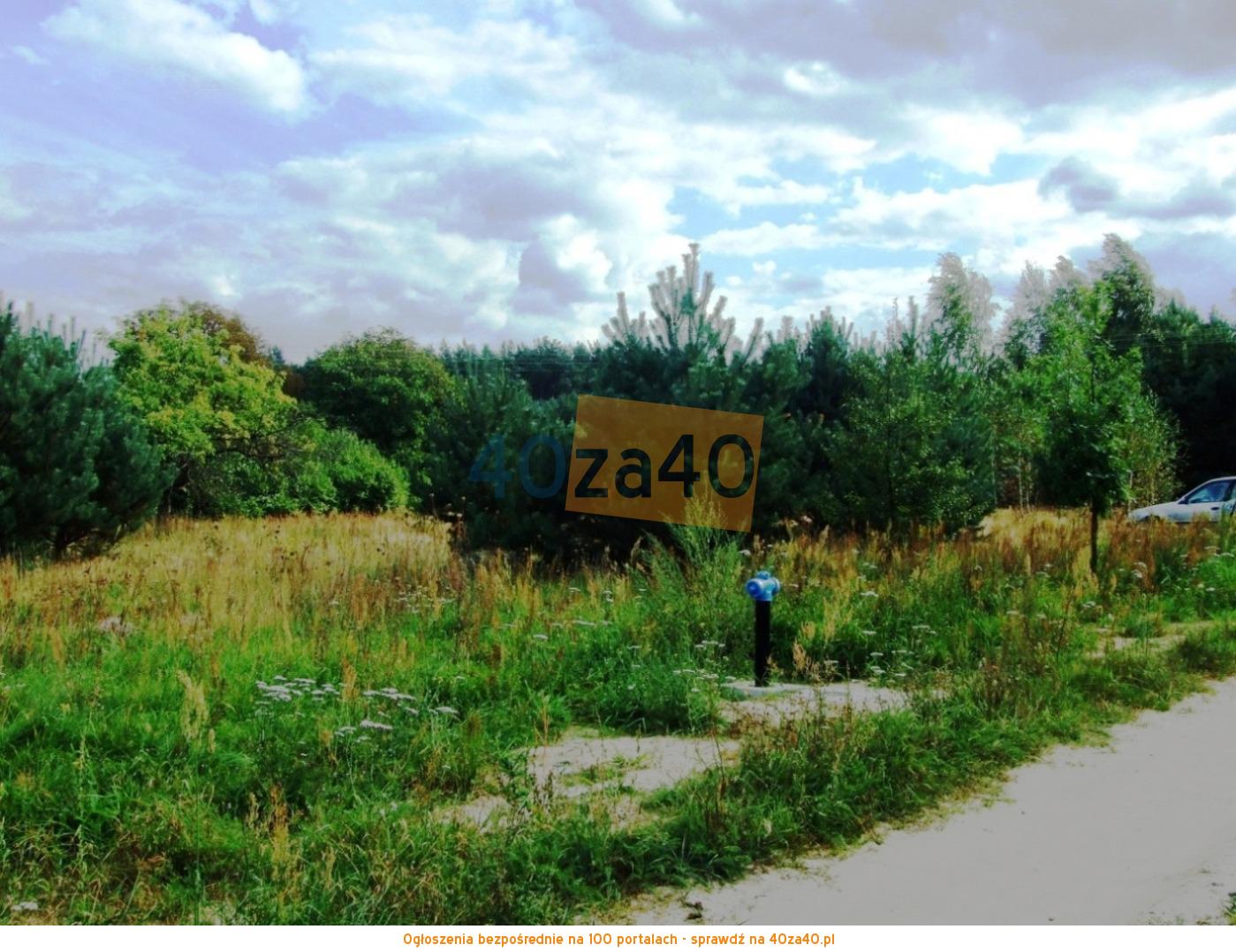 Działka na sprzedaż, 1500 m2, cena: 84 000,00 PLN, Budy Mszczonowskie, kontakt: 501091389
