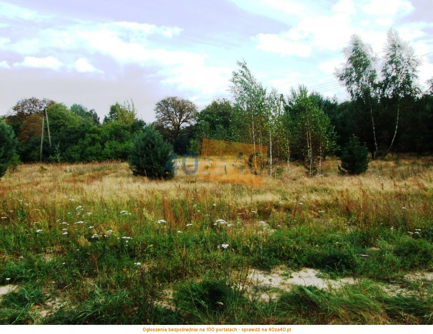 Działka na sprzedaż, 1500 m2, cena: 84 000,00 PLN, Budy Mszczonowskie, kontakt: 501091389