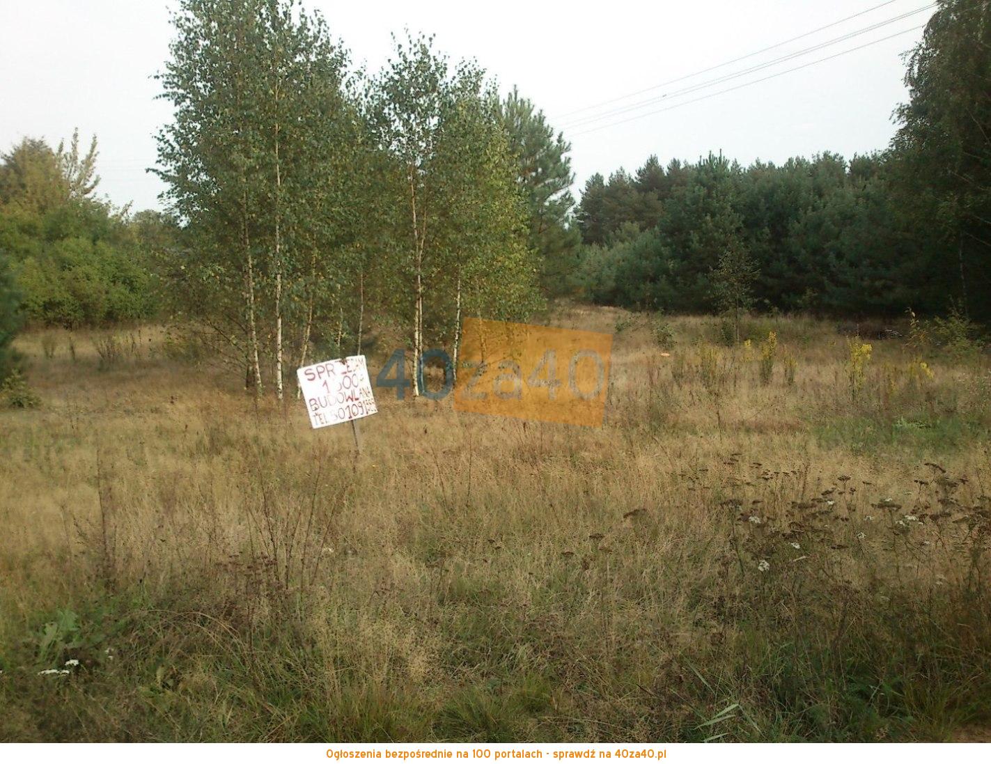 Działka na sprzedaż, 1500 m2, cena: 84 000,00 PLN, Budy Mszczonowskie, kontakt: 501091389
