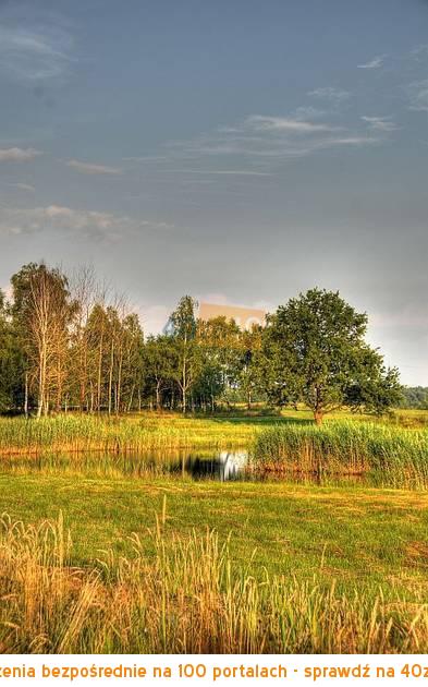 Działka na sprzedaż, 1600 m2, cena: 240 000,00 PLN, Dąbrowa Szlachecka, kontakt: 608580344