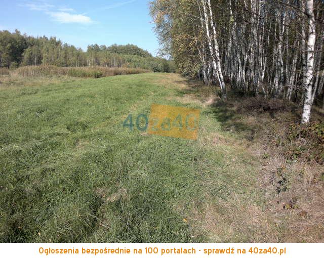 Działka na sprzedaż, 17800 m2, cena: 297 000,00 PLN, Buczków, kontakt: 881626161