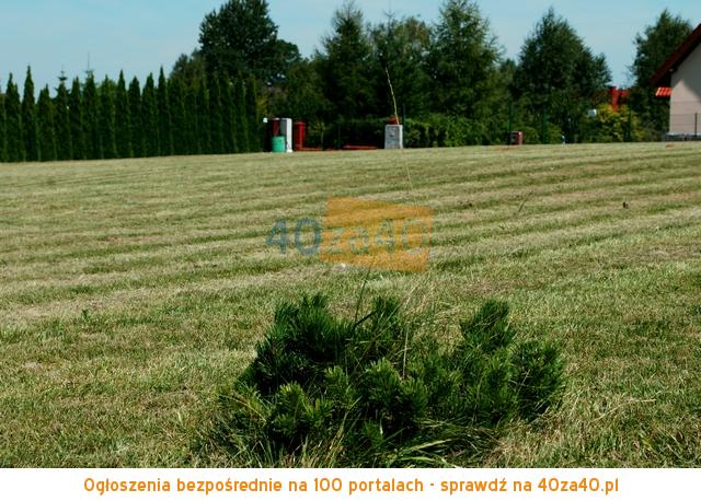 Działka na sprzedaż, 1807 m2, cena: 156 000,00 PLN, Jastków, kontakt: 607-502-382