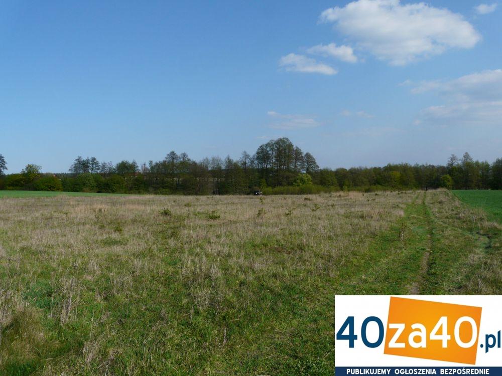 Działka na sprzedaż, 18400 m2, cena: 106 000,00 PLN, Breń, kontakt: 603 59 39 45