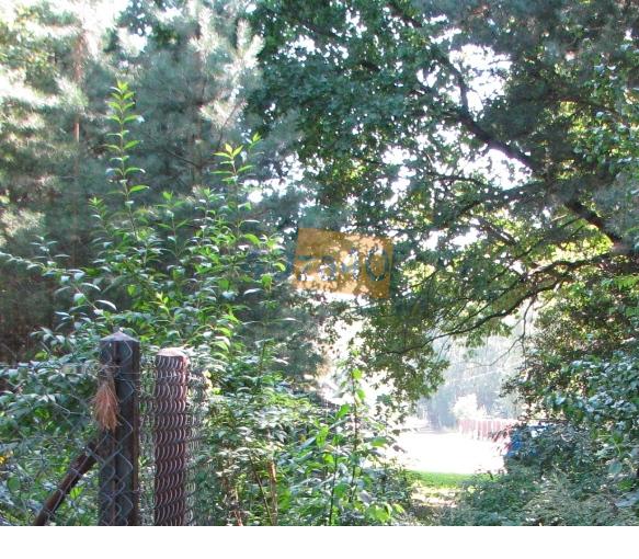 Działka na sprzedaż, 1995 m2, cena: 599 000,00 PLN, Warszawa, kontakt: 600244288