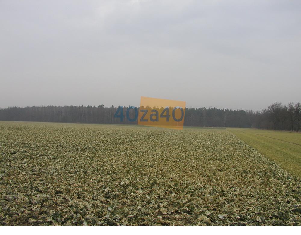 Działka na sprzedaż, 21000 m2, cena: 750 000,00 PLN, Kopanina, kontakt: 602211757