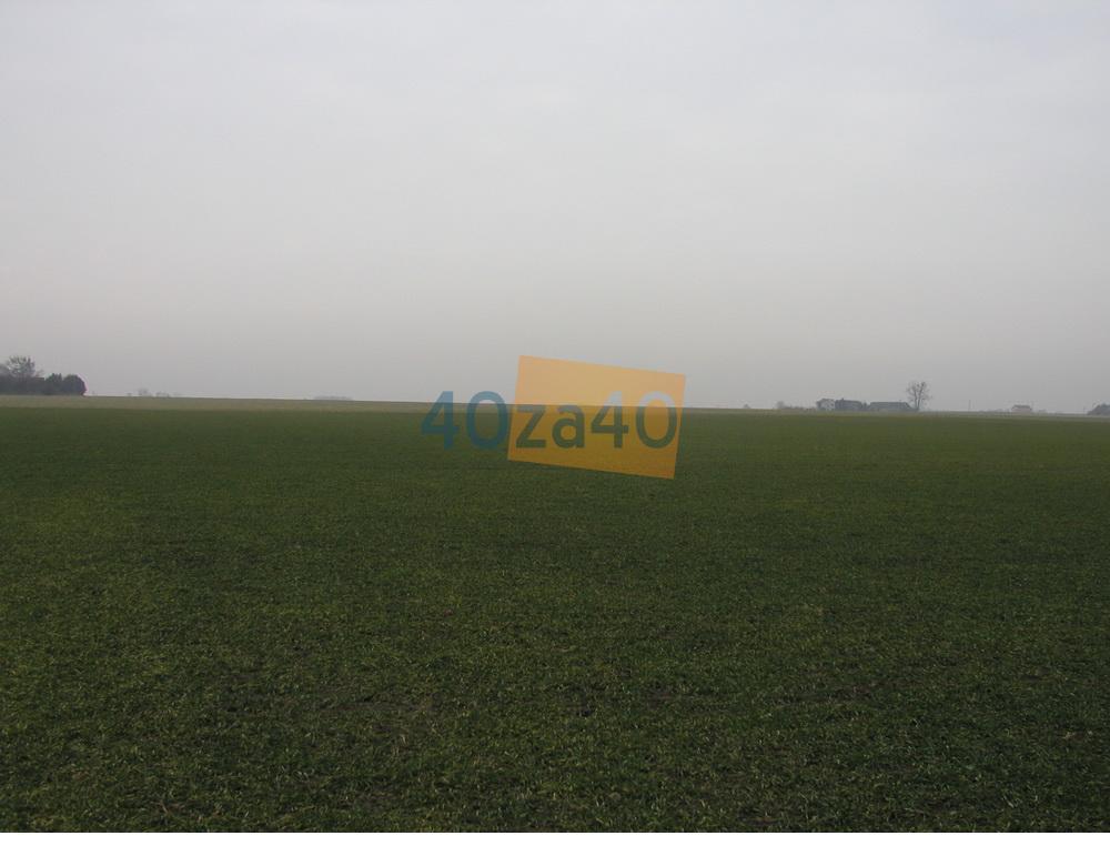 Działka na sprzedaż, 21000 m2, cena: 750 000,00 PLN, Kopanina, kontakt: 602211757