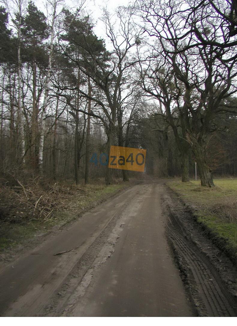 Działka na sprzedaż, 21000 m2, cena: 750 000,00 PLN, Kopanina, kontakt: 602211757