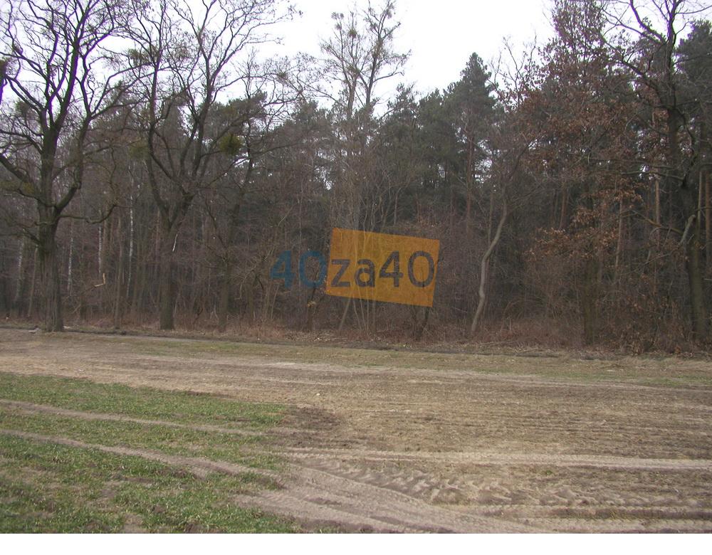 Działka na sprzedaż, 21000 m2, cena: 750 000,00 PLN, Kopanina, kontakt: 602211757