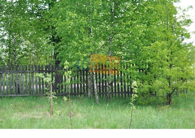 Działka na sprzedaż, 24000 m2, cena: 178 000,00 PLN, Sędowice, kontakt: 502627232