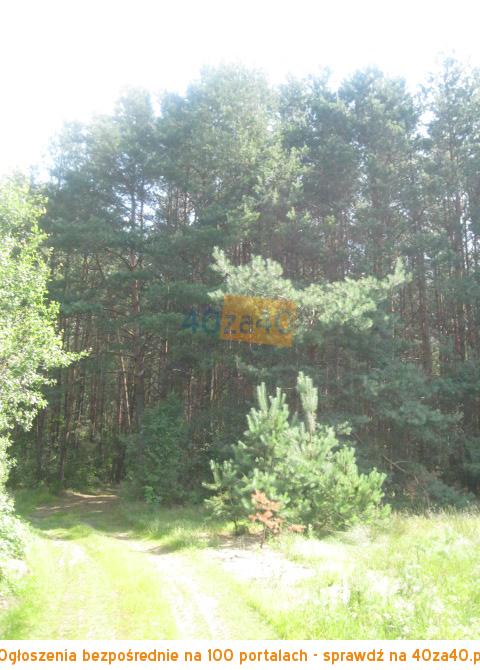 Działka na sprzedaż, 26900 m2, cena: 220 000,00 PLN, Kąty Czernickie, kontakt: 607778637