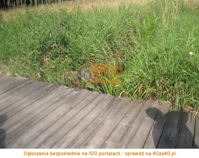 Działka na sprzedaż, 26900 m2, cena: 220 000,00 PLN, Kąty Czernickie, kontakt: 607778637