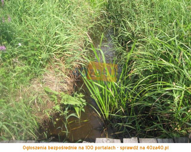 Działka na sprzedaż, 26900 m2, cena: 220 000,00 PLN, Kąty Czernickie, kontakt: 607778637