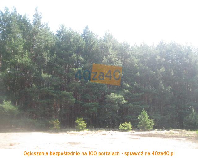 Działka na sprzedaż, 26900 m2, cena: 220 000,00 PLN, Kąty Czernickie, kontakt: 607778637