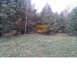 Działka na sprzedaż, 28100 m2, cena: 154 550,00 PLN, Wielgolas, kontakt: 502 579 015