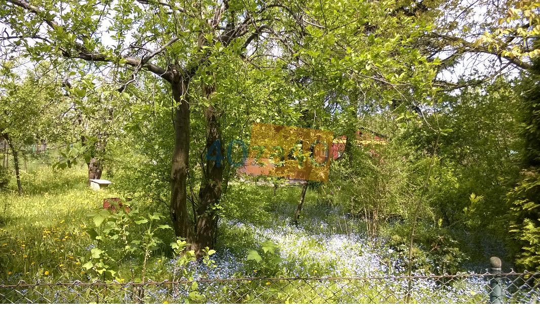 Działka na sprzedaż, 300 m2, cena: 14 000,00 PLN, Warszawa, kontakt: 516171704