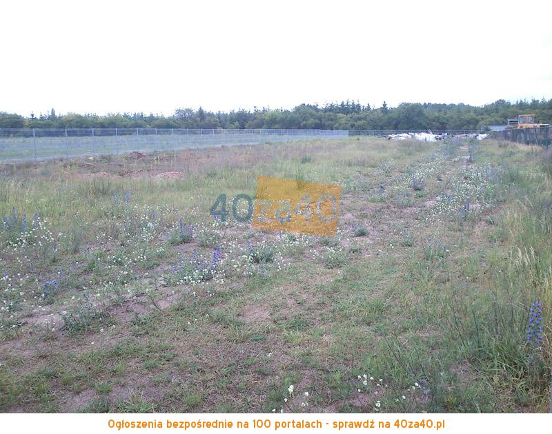 Działka na sprzedaż, 3000 m2, cena: 390 000,00 PLN, Września, kontakt: 501350671