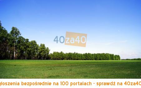 Działka na sprzedaż, 3000 m2, cena: 45 000,00 PLN, Goszczyce Średnie, kontakt: 600999650