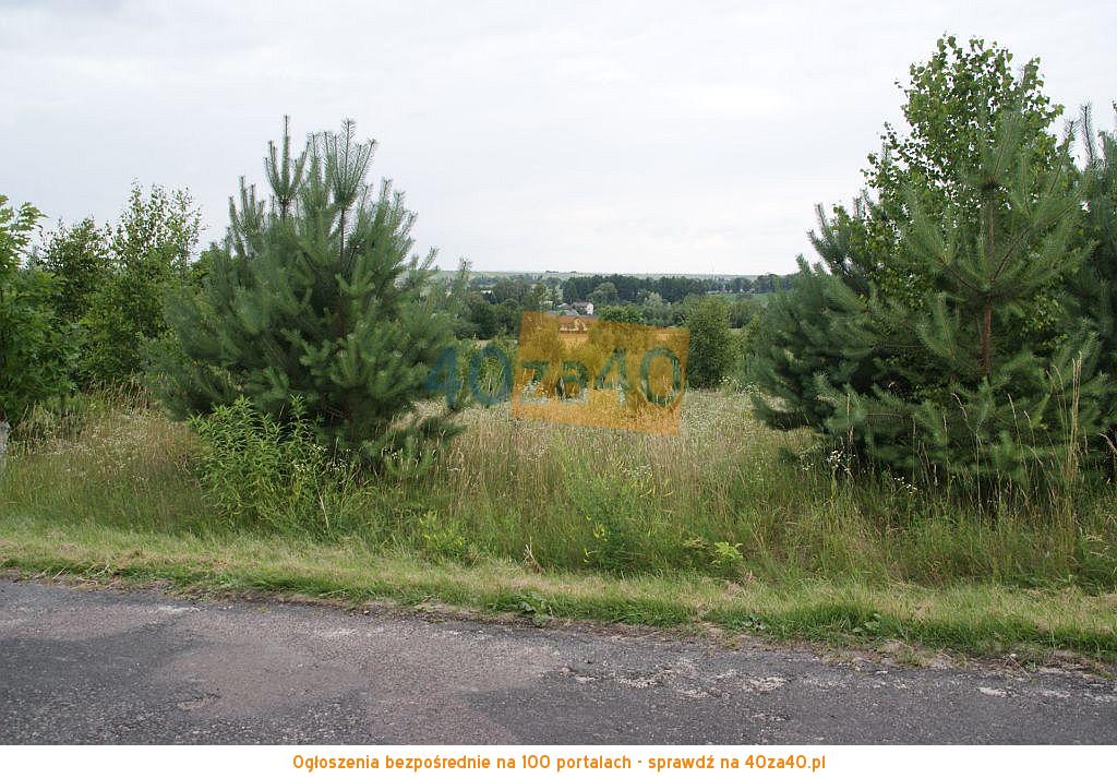 Działka na sprzedaż, 3000 m2, cena: 50 000,00 PLN, Lipsko-Polesie, kontakt: 600028602