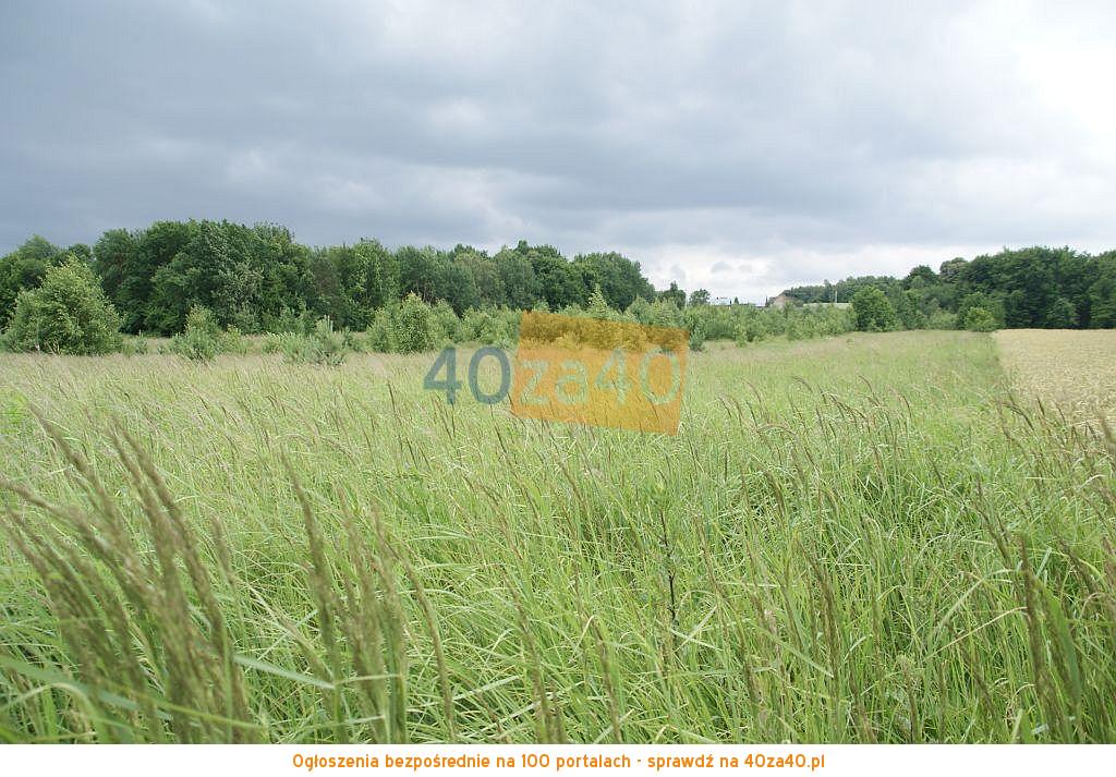 Działka na sprzedaż, 3000 m2, cena: 50 000,00 PLN, Lipsko-Polesie, kontakt: 600028602