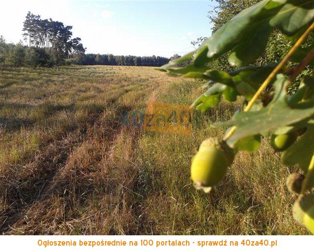 Działka na sprzedaż, 3000 m2, cena: 60 000,00 PLN, kontakt: 607772961