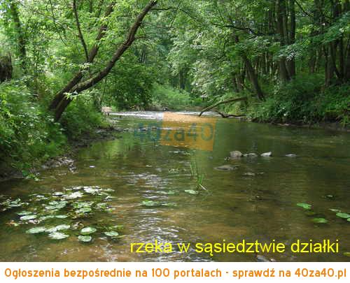 Działka na sprzedaż, 3001 m2, cena: 450 000,00 PLN, Ruda, kontakt: 692577852