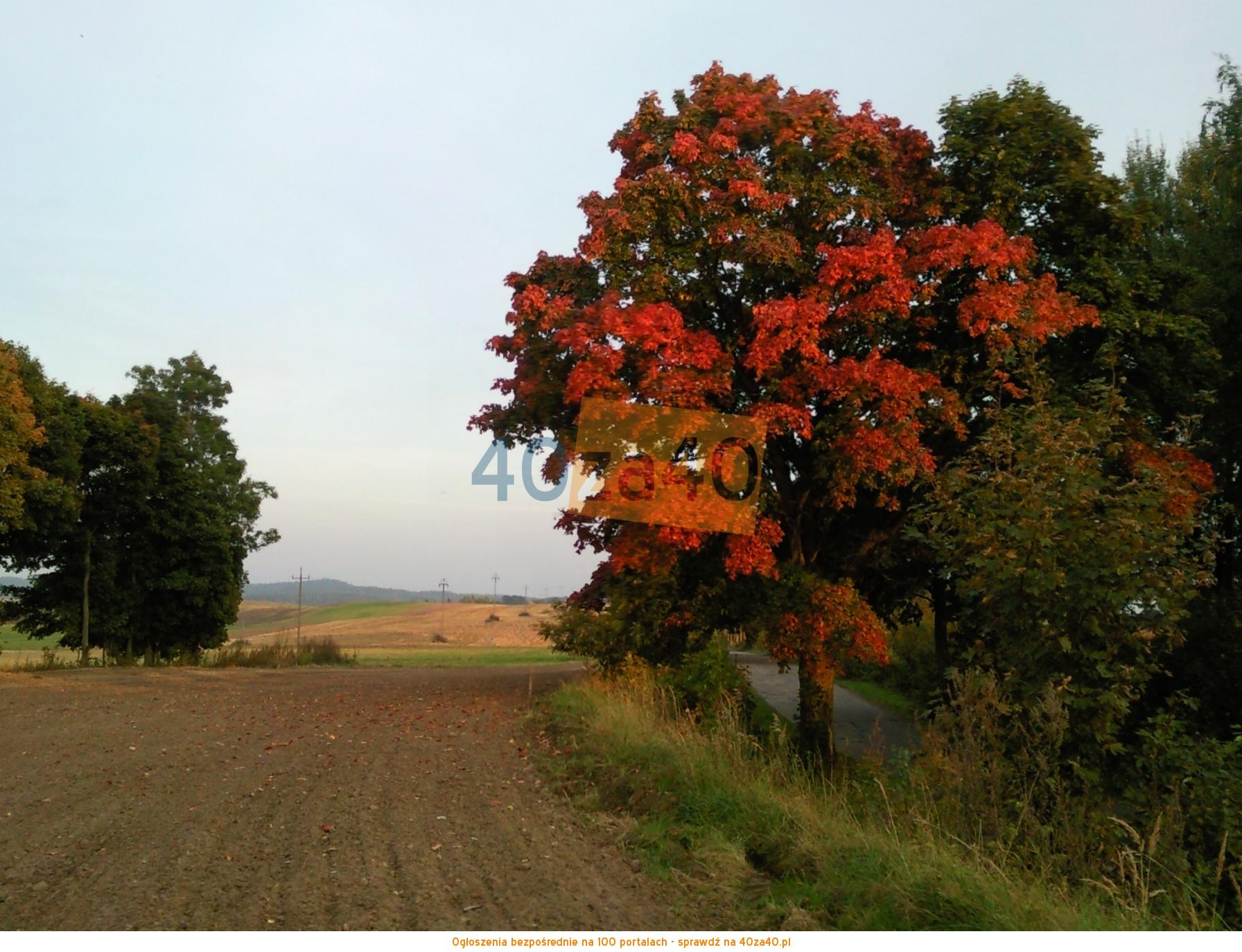 Działka na sprzedaż, 3001 m2, cena: 90 000,00 PLN, Krzywińskie, kontakt: 607 887 882