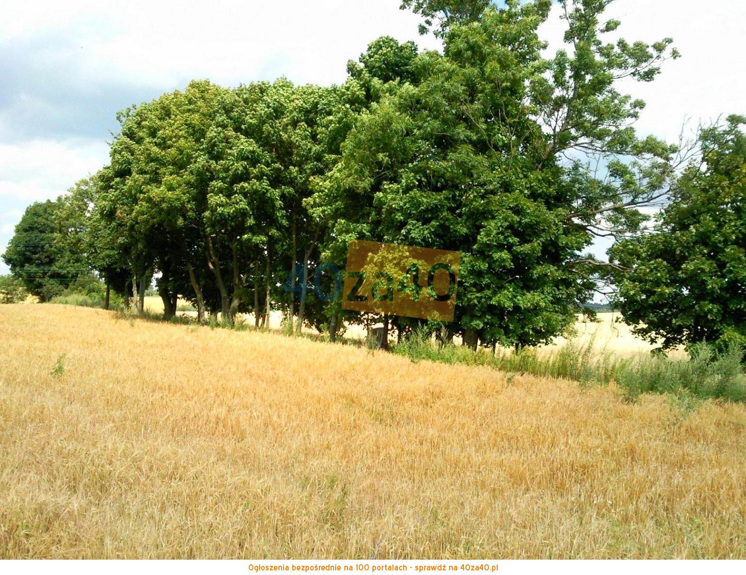 Działka na sprzedaż, 3001 m2, cena: 90 000,00 PLN, Krzywińskie, kontakt: 607 887 882