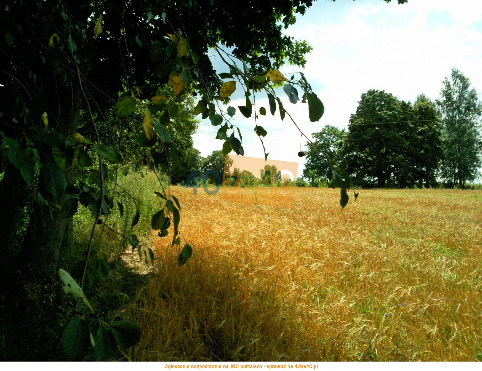 Działka na sprzedaż, 3001 m2, cena: 90 000,00 PLN, Krzywińskie, kontakt: 607 887 882