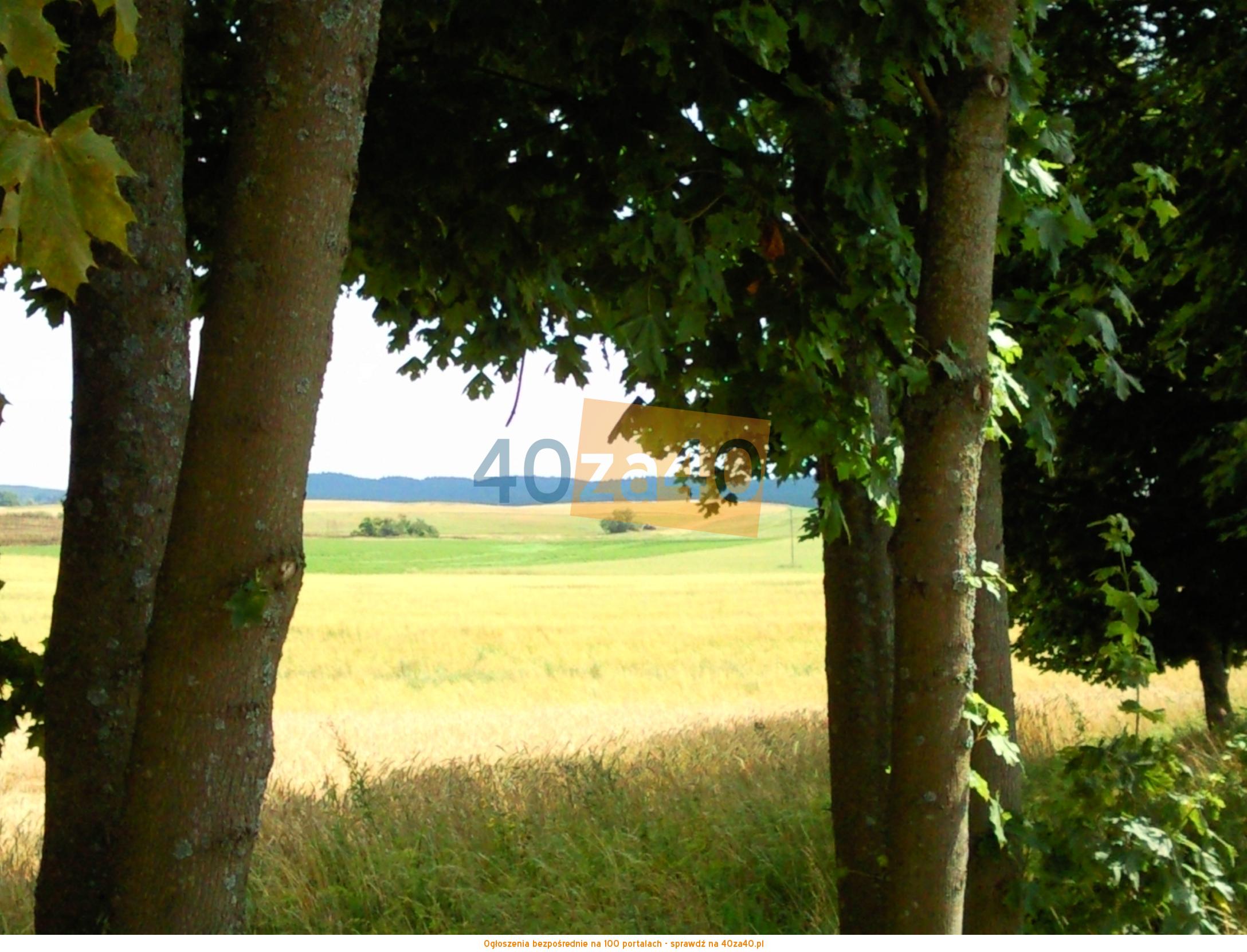 Działka na sprzedaż, 3001 m2, cena: 90 000,00 PLN, Krzywińskie, kontakt: 607 887 882