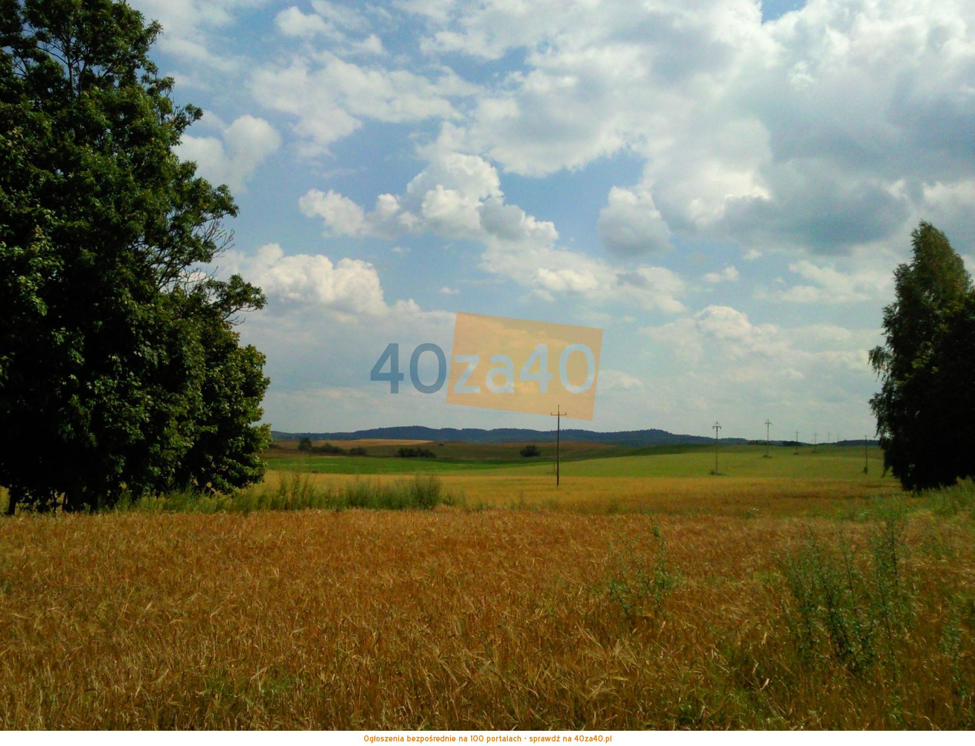 Działka na sprzedaż, 3001 m2, cena: 90 000,00 PLN, Krzywińskie, kontakt: 607 887 882