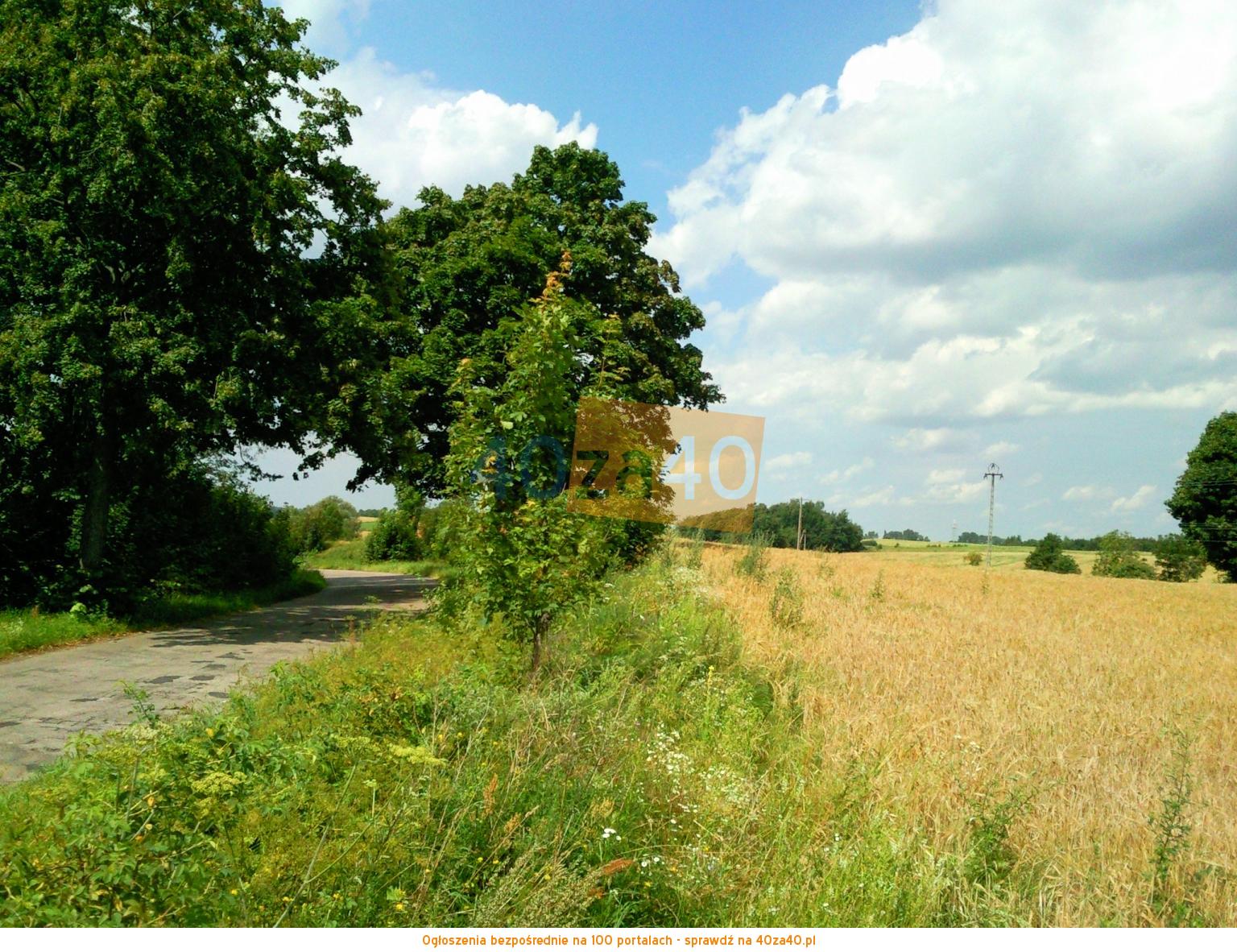 Działka na sprzedaż, 3001 m2, cena: 90 000,00 PLN, Krzywińskie, kontakt: 607 887 882