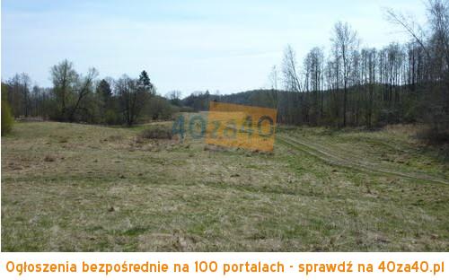 Działka na sprzedaż, 320600 m2, cena: 3 206 000,00 PLN, Dłusko, kontakt: 729232220