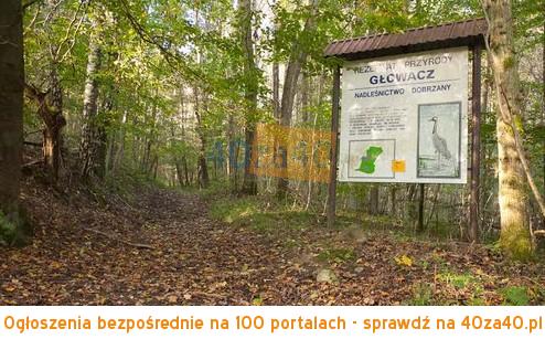 Działka na sprzedaż, 320600 m2, cena: 3 206 000,00 PLN, Dłusko, kontakt: 729232220