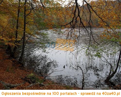 Działka na sprzedaż, 320600 m2, cena: 3 206 000,00 PLN, Dłusko, kontakt: 729232220