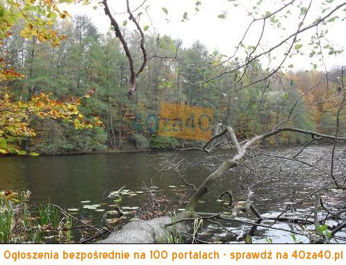 Działka na sprzedaż, 320600 m2, cena: 3 206 000,00 PLN, Dłusko, kontakt: 729232220