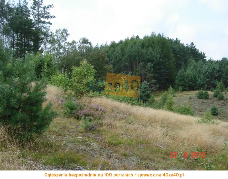 Działka na sprzedaż, 3308 m2, cena: 330 800,00 PLN, Koleczkowo, kontakt: 784025152