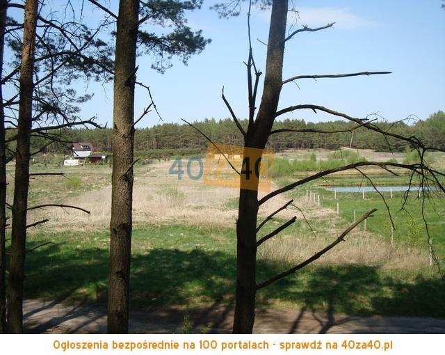 Działka na sprzedaż, 3400 m2, cena: 170 000,00 PLN, Klaniny, kontakt: 501350021