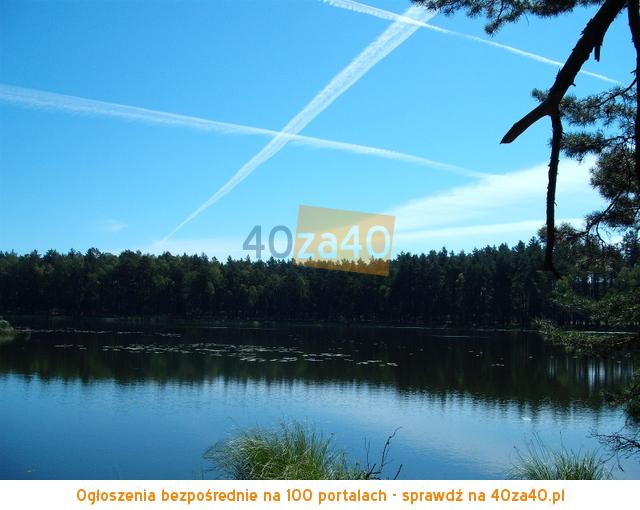 Działka na sprzedaż, 3400 m2, cena: 170 000,00 PLN, Klaniny, kontakt: 501350021