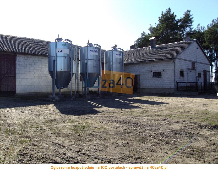 Działka na sprzedaż, 3600 m2, cena: 300 000,00 PLN, Dąbrowa Wielka, kontakt: 603703908